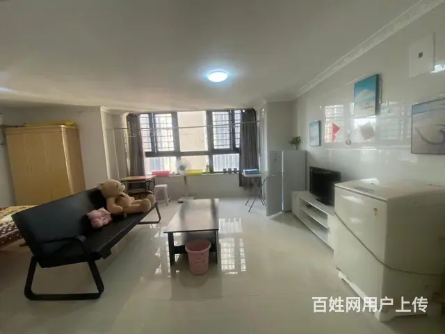 中骏旁 3米大窗户  独门  公寓 采光好 - 图片 6