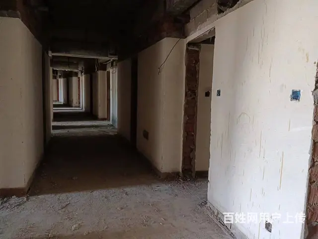 （51旺铺推荐）龙昆北路海景湾大厦5000平招商 可分租 - 图片 5