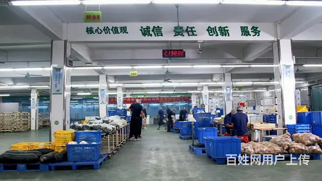 广州市越秀区食堂生鲜蔬菜配送供应，专业全品类配送 - 图片 1