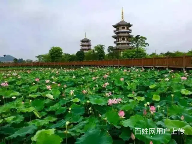 五彩田园景区房房东直租 - 图片 7