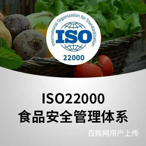 要进行ISO认证企业需要进行以下准备工作 - 图片