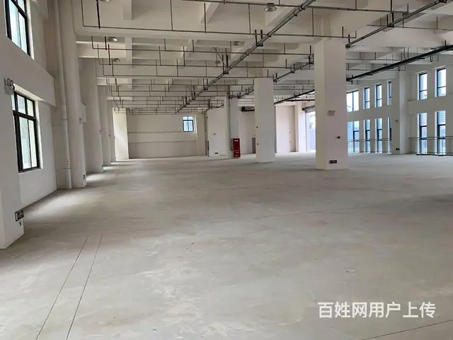 龙泉经开区南4路800平起租框架厂房 - 图片 1