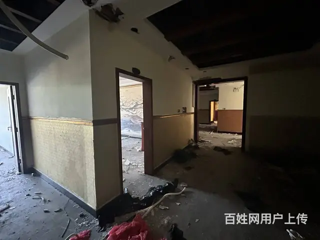 （51旺铺推荐）金垦路980平两间店铺可整租可分租 - 图片 5