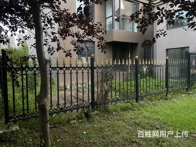 梧桐苑房屋一楼，带地下室花园 - 图片 2