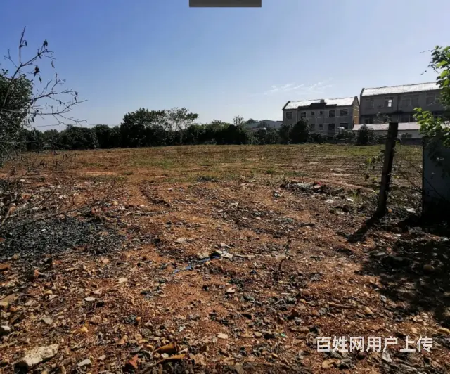 （房东直租）雷锋大道北160一660平厂房出租，带2亩场地 - 图片 10