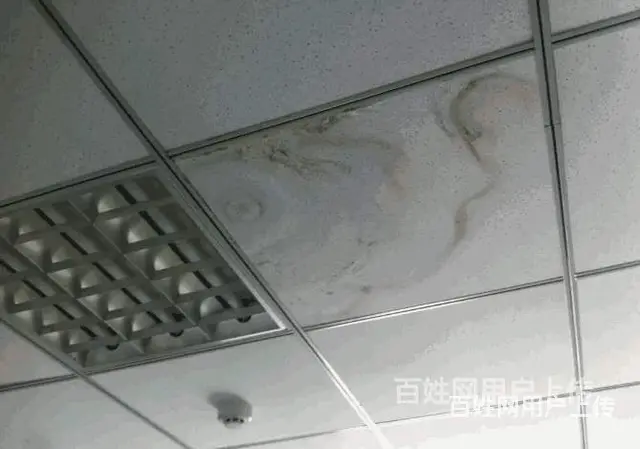 连锁防水补漏公司/专业卫生间防水堵漏/屋面漏水维修 - 图片 4