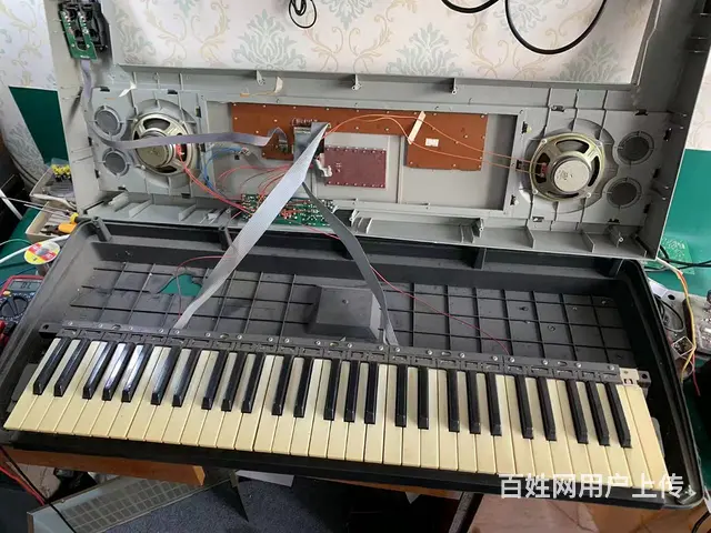 九江卡瓦依.雅马哈.美得理电子琴/科音.卡西欧电钢 - 图片 8