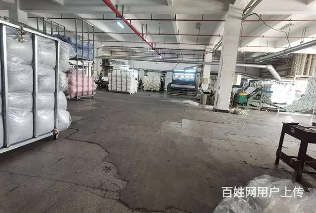 谢桥标准厂房2850平，带喷淋，门口超大场地，配套办公宿舍。 - 图片 2