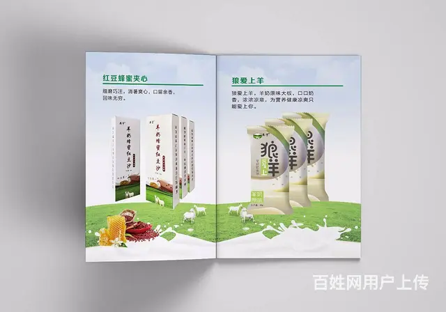 企业平台招商手册设计，精品画册设计制作 - 图片 11