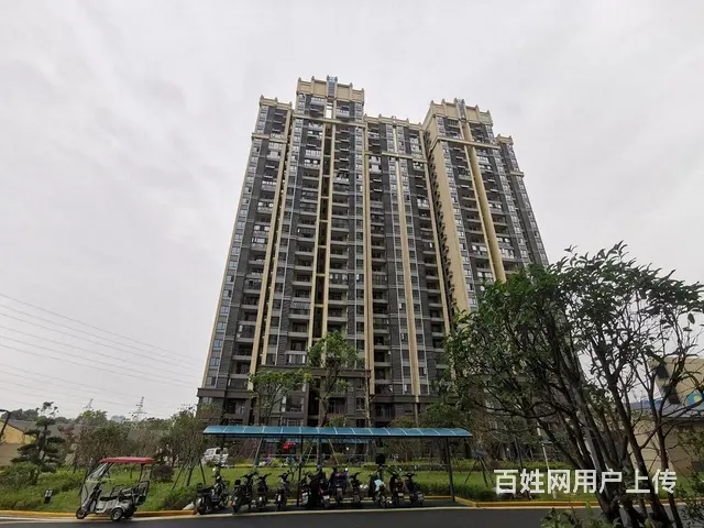 武汉站 武钢五号线 杨春湖实验学校 陪读好房 出行 - 图片 10