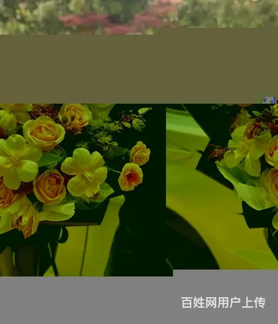北京西城区花卉绿植批发办公室花卉 - 图片 3