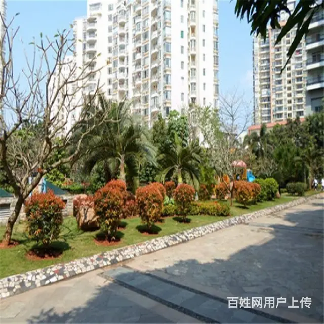 龙昆南大润发商圈    龙泉家园3房 - 图片 11