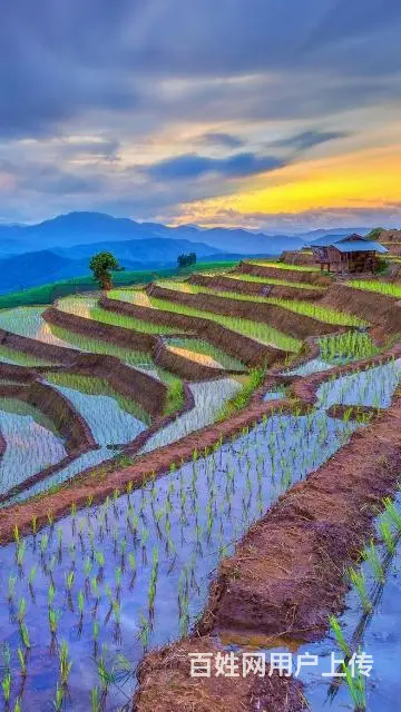 求租 - 图片
