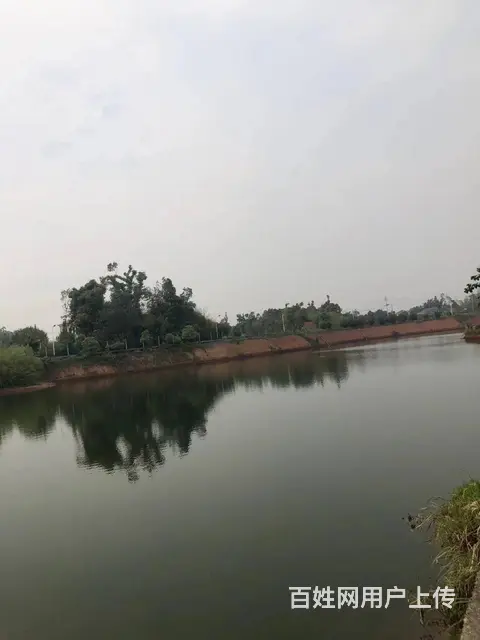 靖港古镇休闲旅游区旁50亩鱼塘➕10亩土地优价出租或合伙经营 - 图片 2