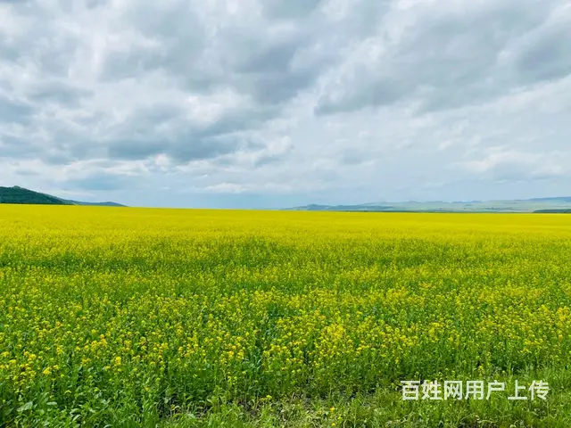 呼伦贝尔旅游包车呼伦贝尔旅游包车 - 图片 3