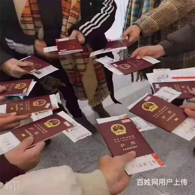 海南白沙正规出国劳务派遣外派正规出国打工劳务派遣私人司机-包 - 图片 2