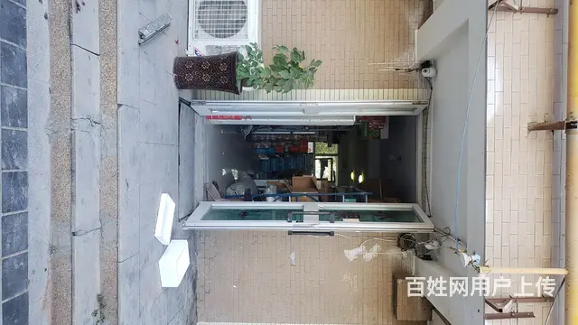 寻狗启示 - 图片 3