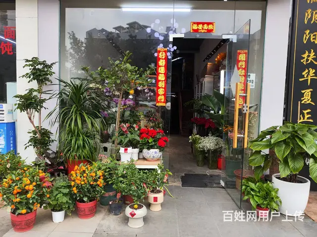（51旺铺推荐）龙华区海德路90平铺面转让 - 图片 7