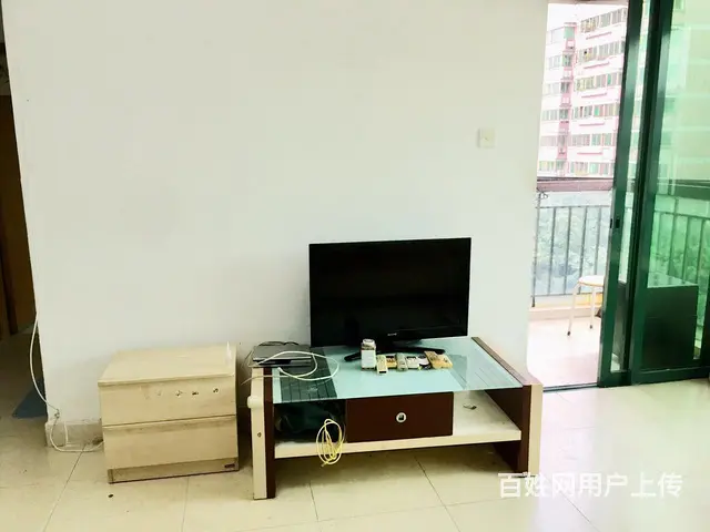 白天鹅花园 2房精装 看不清至强大脑 不过她任你发 - 图片 2