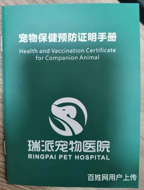 【搞定了！】已绝育粘人母喵求领养 - 图片 3