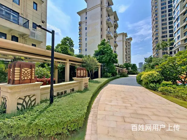 笋盘急售！荔枝湾两房（全新未住 各付各税）价格可谈 - 图片 10