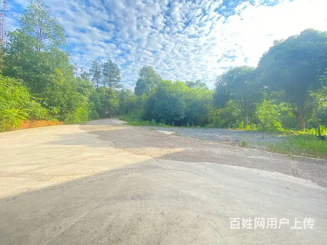 （房东直租）秋江线独院550平，可分租200平厂房，可进挂车 - 图片 11