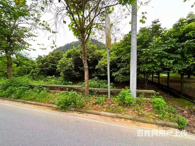 从化区桃花小镇旅游区附近1.5亩平地果园整体转让 - 图片 7