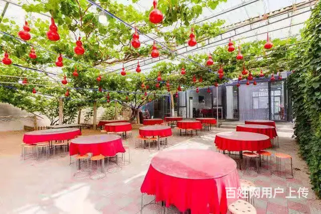 秦皇岛昌黎农家院-昌黎葡萄沟农家院-推荐吉祥农家院 - 图片 1