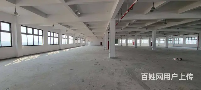 董浜工业园全新独栋独院厂房8400平，可分租，配套设施齐全 - 图片 3