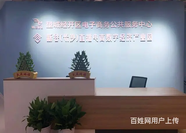出租望城普瑞大道西商业街电商店铺 - 图片 3