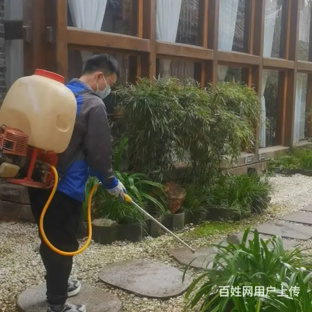 找虫害消杀服务，就到马小虫，找专业团队。 - 图片 3