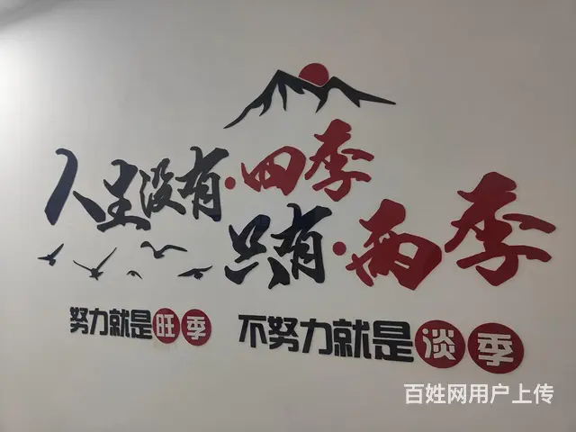 全国宠物托运有专门的门店 - 图片 2
