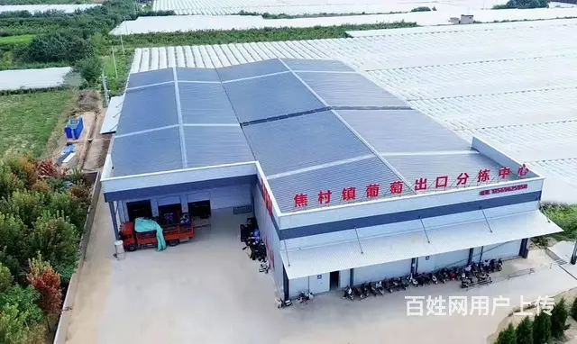 仓库出租，低至8元 - 图片 2