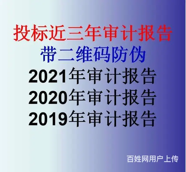 23年投标审计报告多少钱一份 - 图片 2