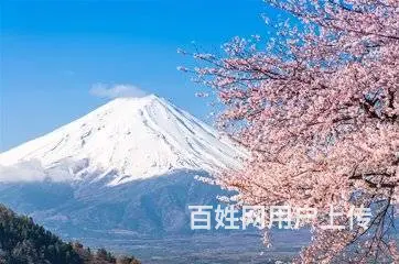 临沂暑假日语辅导培训中心|小语种零基础学习班 - 图片 3