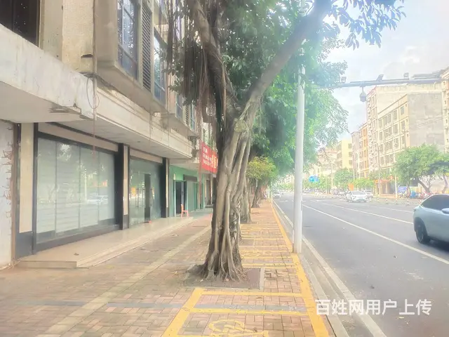 （51旺铺推荐）文昌市庆龄路一栋楼2010平临街出租 - 图片 10