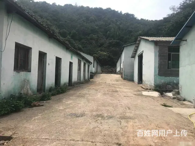 （老板本人）望城区独门独院厂房/仓库房东直租  6130 - 图片 5