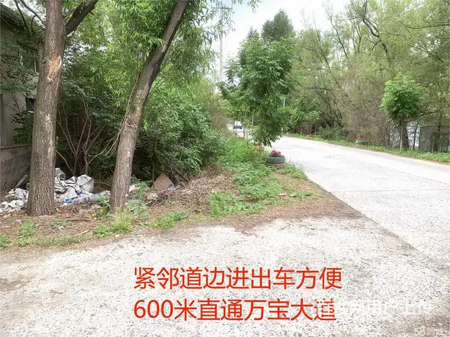 松北新区厂房冷库出租 - 图片 2