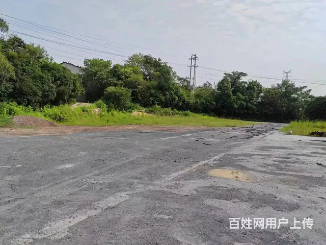 （老板本人）雨花区跳马镇红星农批附近场地低价出租 5258 - 图片 4