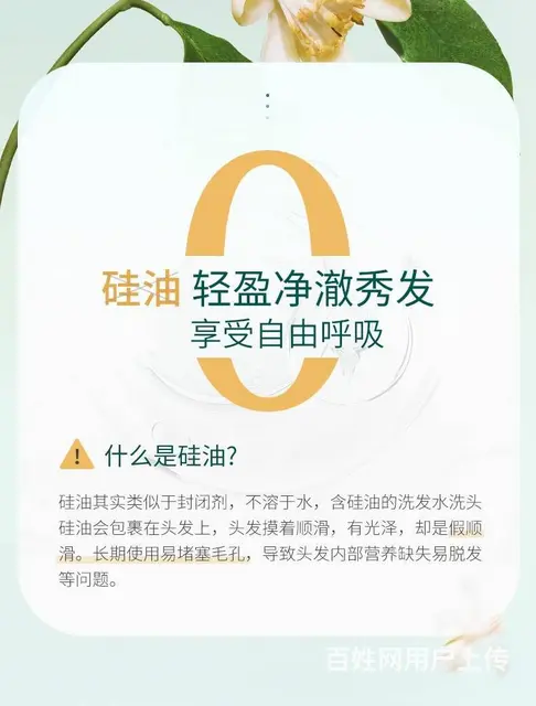 狮王欧希帝去屑洗发水批发代理一件代发 - 图片 8