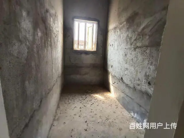欧洲城  双拼别墅价出售 私家花园超大地下室可开加工厂 - 图片 4
