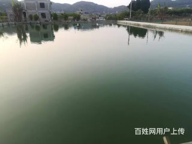 农庄钓场出售 - 图片 2