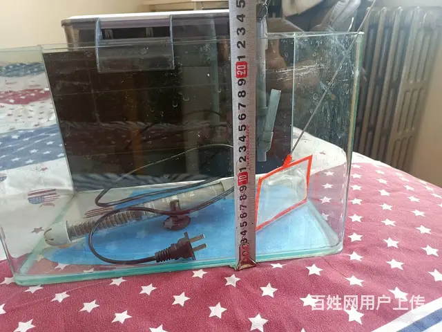 【搞定了！】鱼缸 - 图片 6