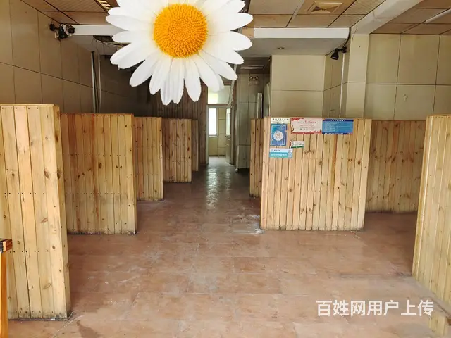 （玖玖）房主直租，王舍路鲁能齐林家园小区沿街商铺 - 图片 5