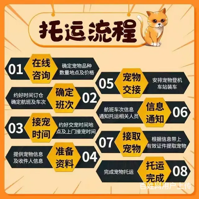 甘孜宠物托运（猫狗）活体运输邮寄 （2023今日 推荐）【主 - 图片 3