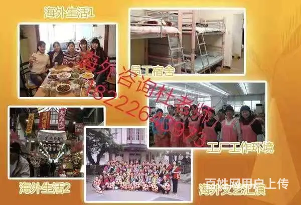 出国全球（无费用）年薪60万华人雇主直 - 图片 6