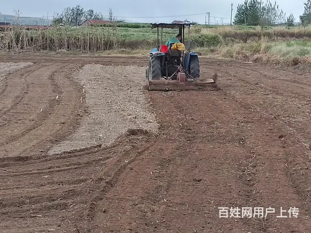 出售 - 图片 3