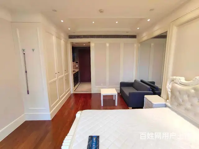 武林外滩豪装1房星河明苑杭州大厦西湖文化广场武林府武林国际 - 图片 5