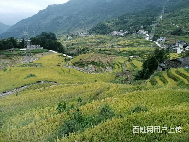 尧龙云海2室1厅1卫 - 图片 6