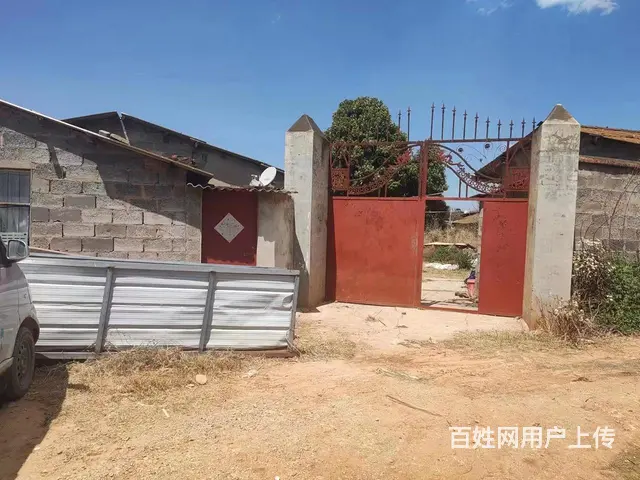 养猪场求租 - 图片 6